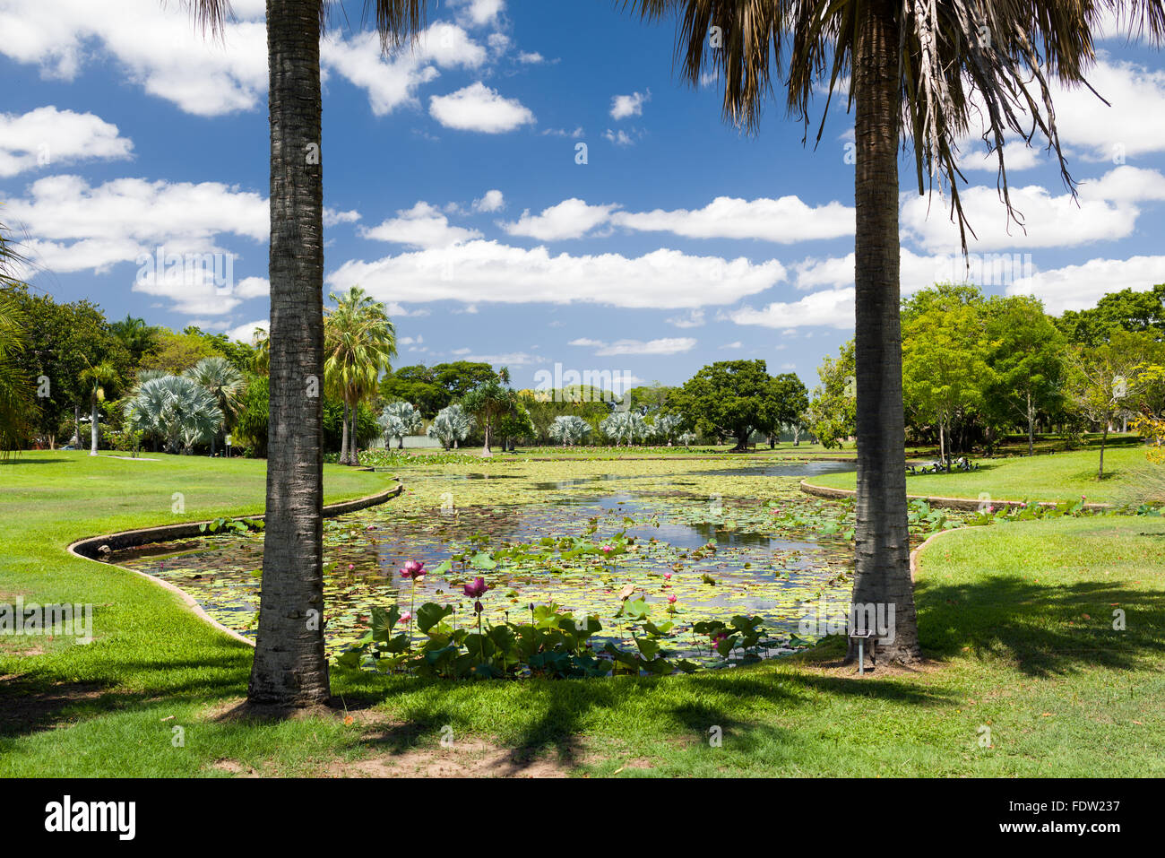 Anderson Parco Giardino botanico di Queensland Foto Stock