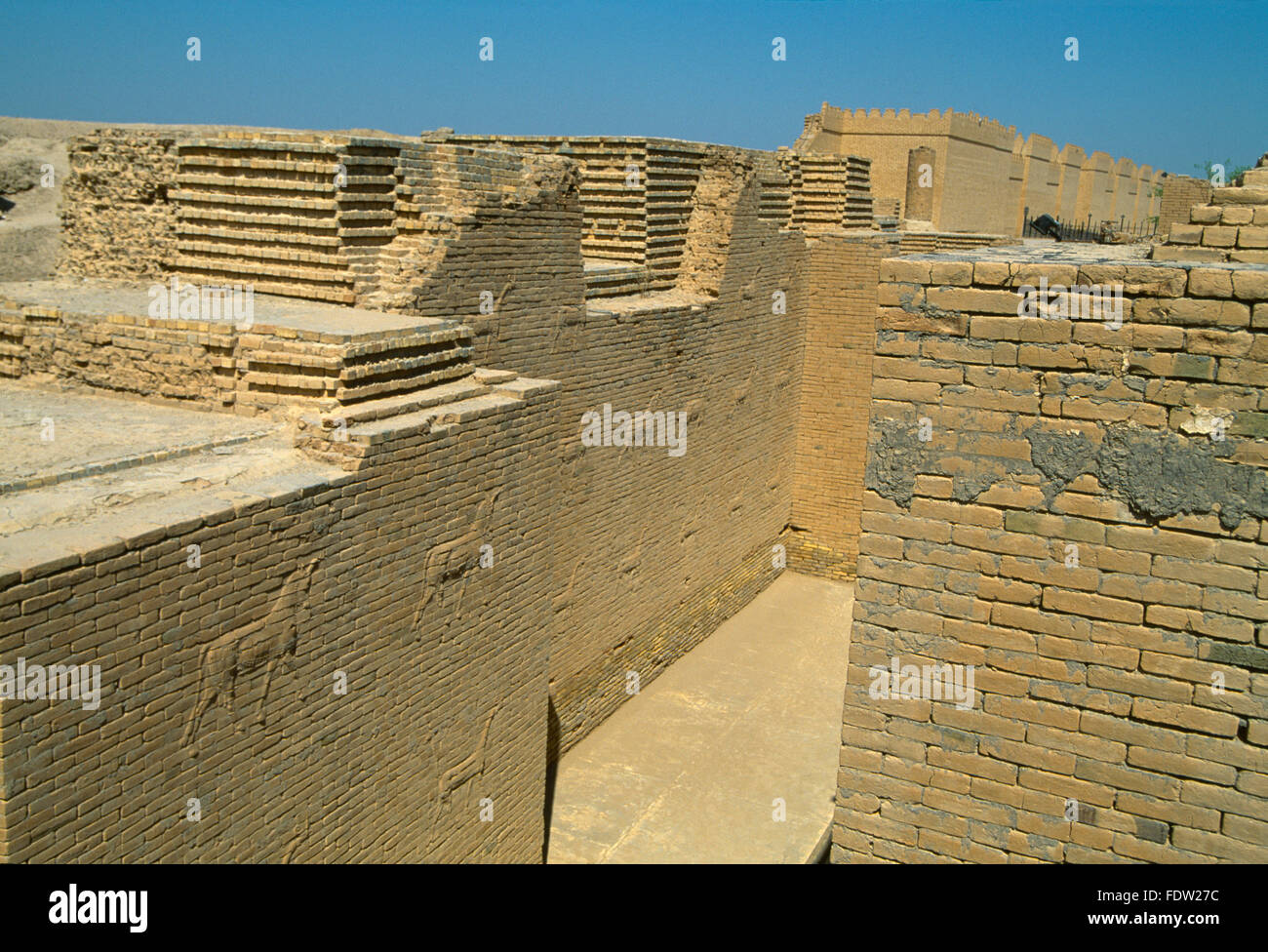 Babilonia Iraq Muro occidentale del basso Ishtar Gate con Mushussu & uro rilievi Foto Stock