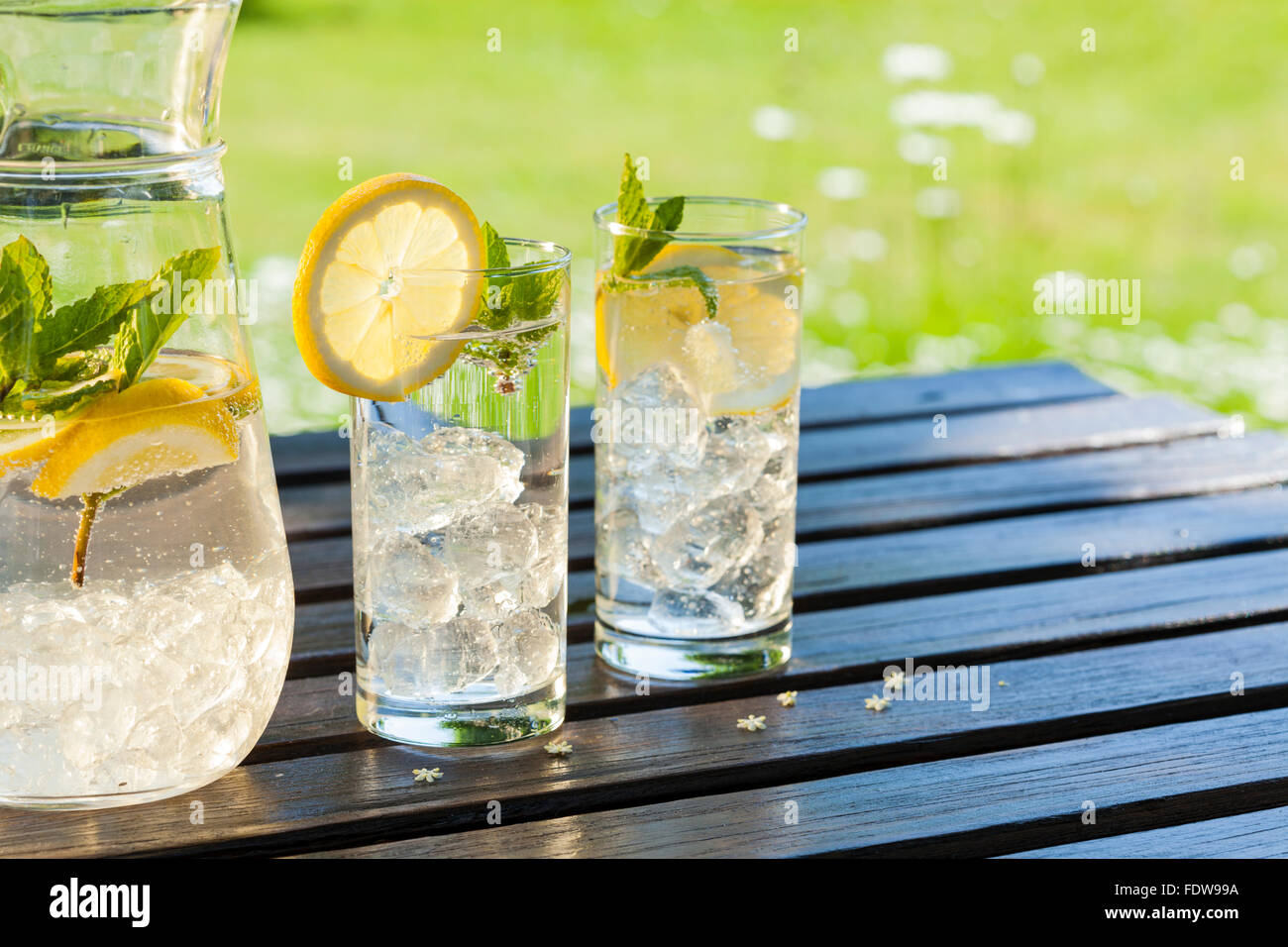 Di ghiaccio freddo bere acqua limonata nel giardino estivo Foto Stock