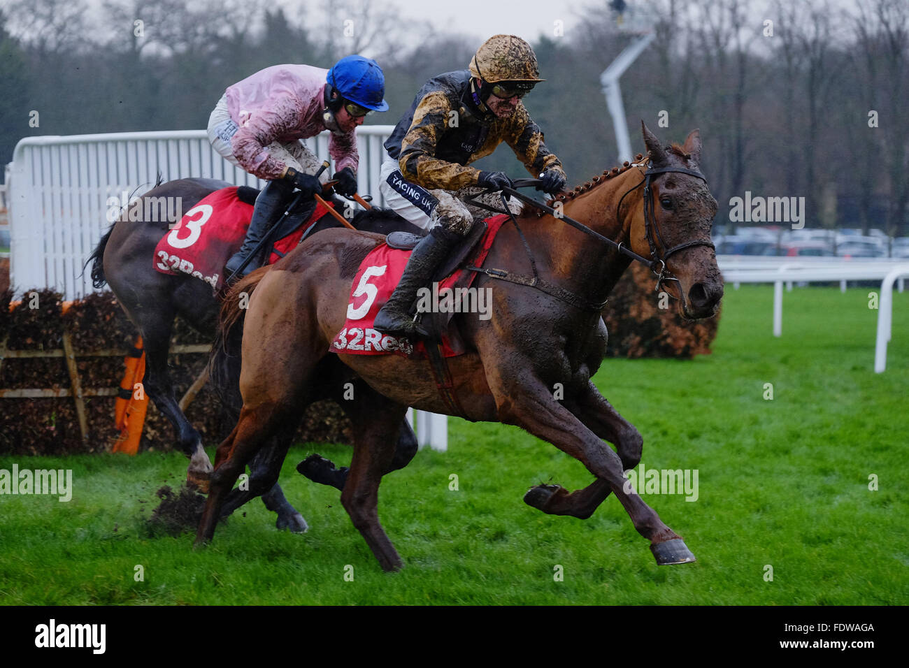 Un fangoso Yorkhill cavalcato da Ruby Walsh il vincente Tolworth Hurdle (grado 1) sotto la pioggia battente a Sandown Park Racecourse dotate: Ruby Walsh, Yorkhill dove: Esher, Regno Unito quando: 02 Gen 2016 Foto Stock