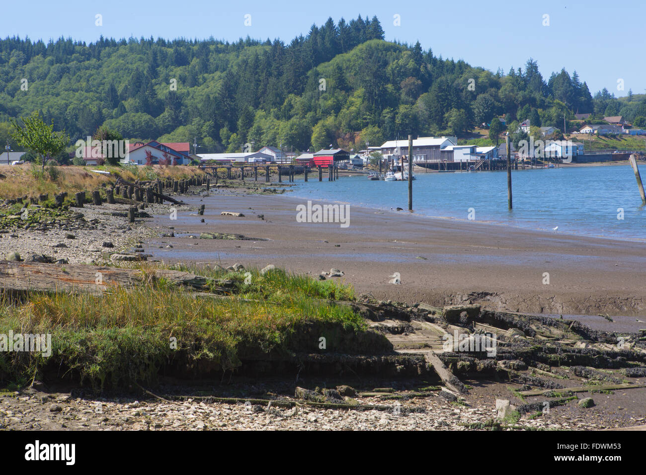 South Bend Wa USA una volta una fiorente oyster area di produzione che mostra la bassa marea lungo il fiume teh Foto Stock