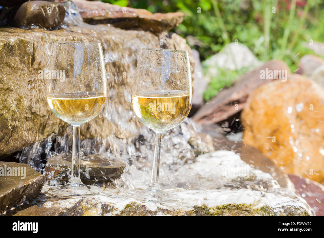 Vino fresco nel giardino Foto Stock