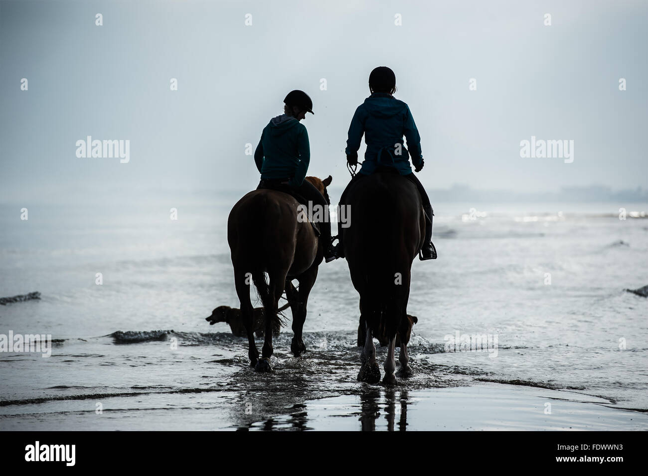 Silhouette di piloti in spiaggia a cavallo Foto Stock