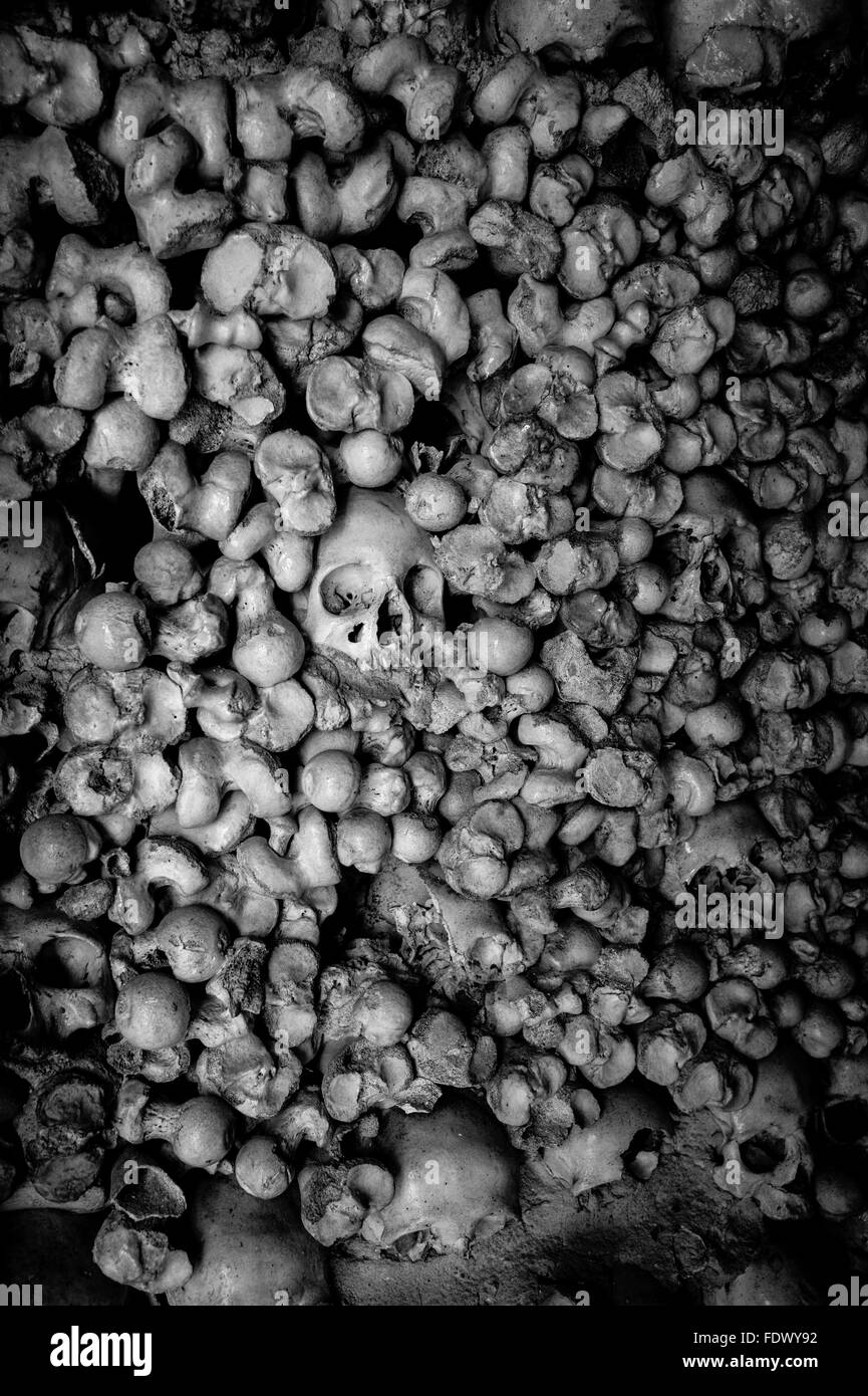 Teschi umani sulle pareti della Cappella del defunto, Capela dos Ossos , Alcantarilha, Algarve, PORTOGALLO Foto Stock