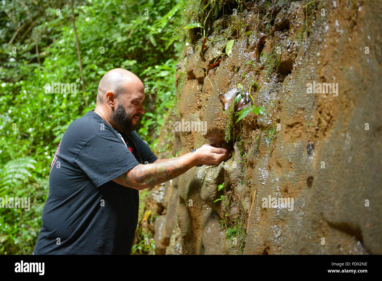 Uomo di bere da una sorgente naturale presso il fiume Camuy Parco rupestre. PUERTO RICO - isola dei Caraibi. Territorio statunitense. Foto Stock