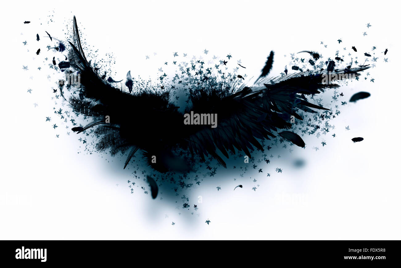 Immagine astratta di ali nere contro uno sfondo chiaro Foto Stock