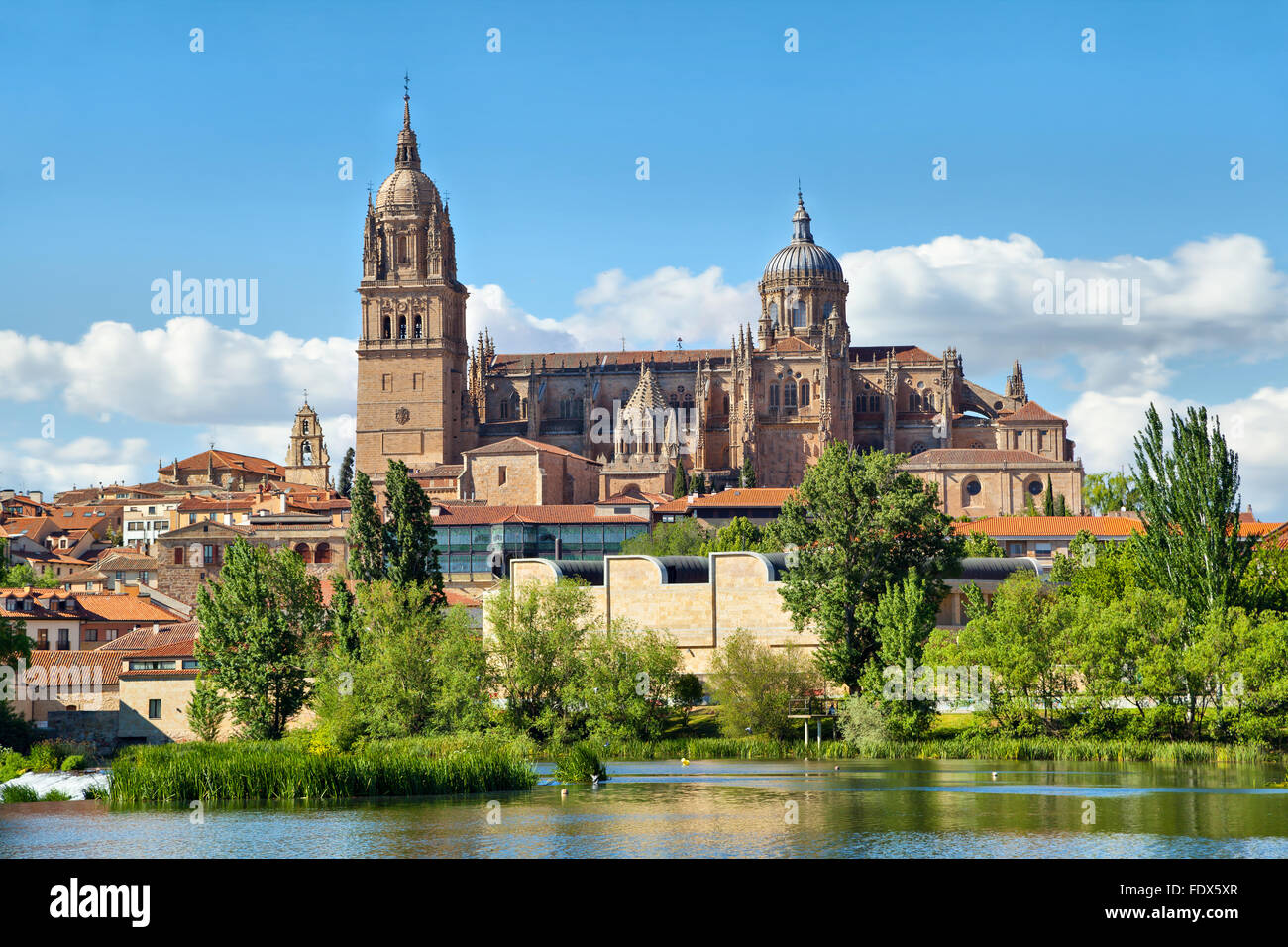 La nuova cattedrale di Salamanca - Vista dal lato del fiume, Castilla, Spagna Foto Stock
