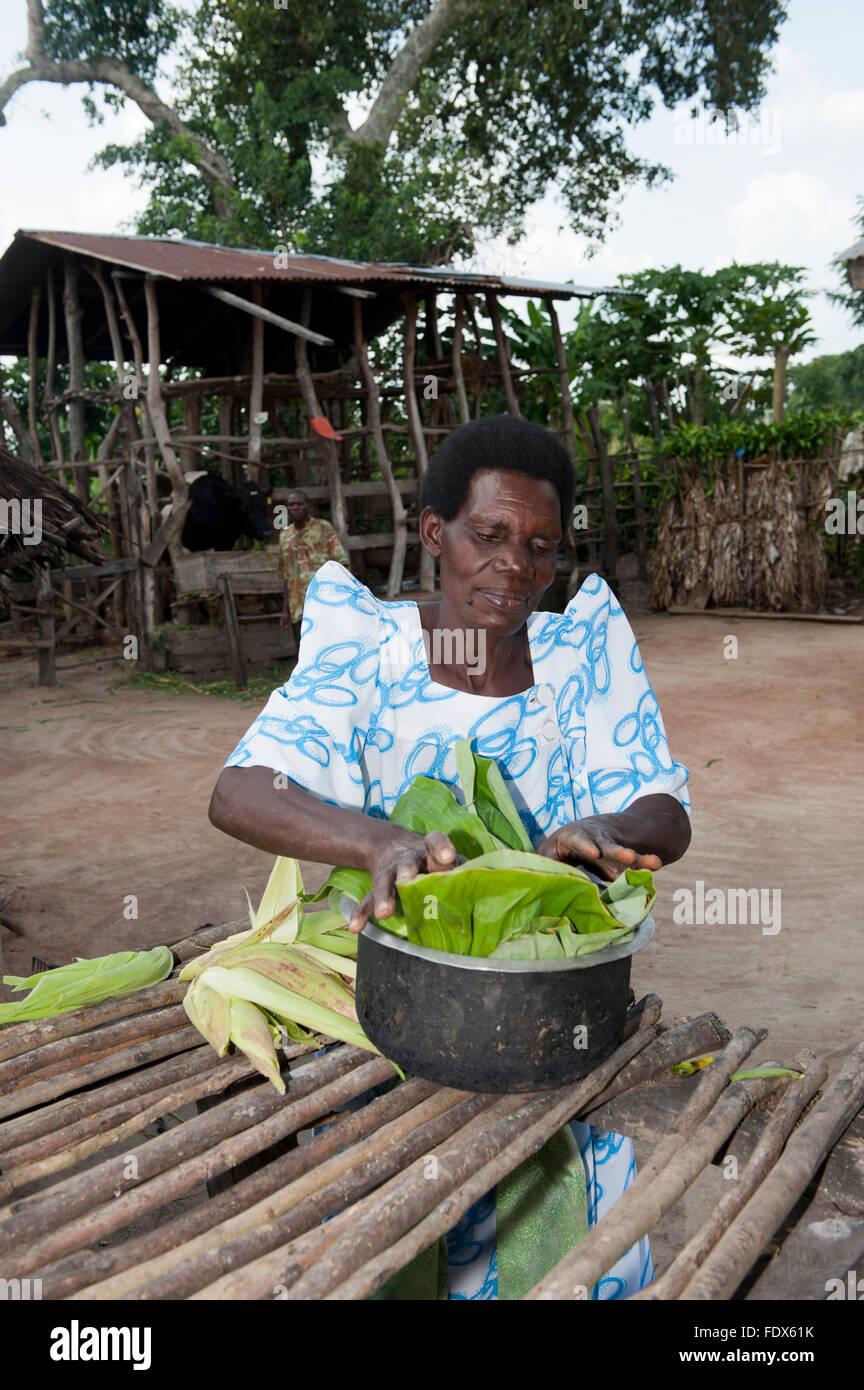 Signora ugandese preparare un pasto in una padella utilizzando il mais e foglie di banano. Uganda. Foto Stock