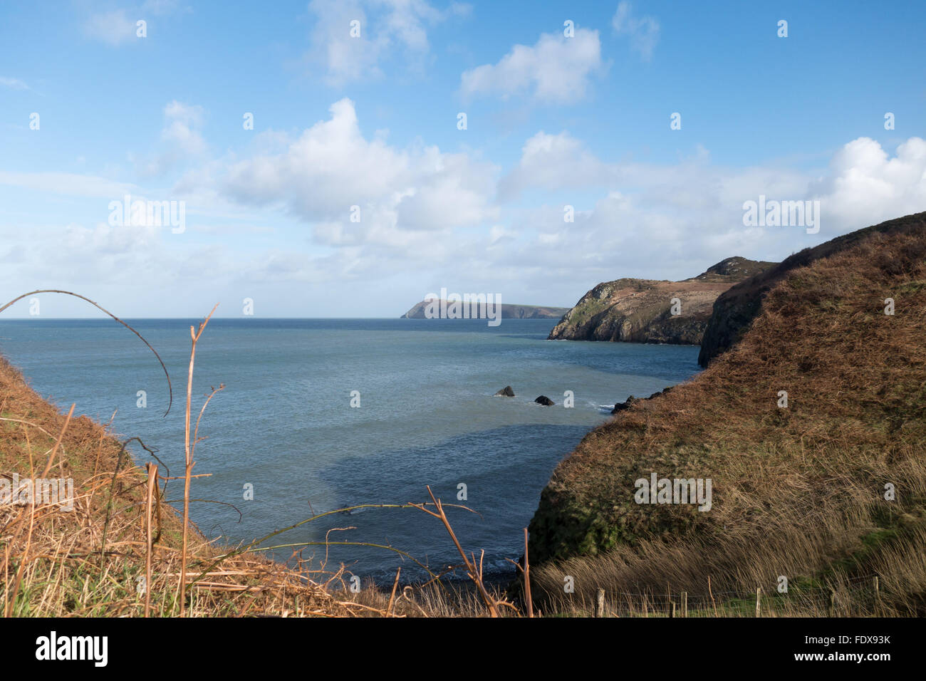 Lungo la costa di Pembrokeshire tra Fishguard e testa di dinas Foto Stock
