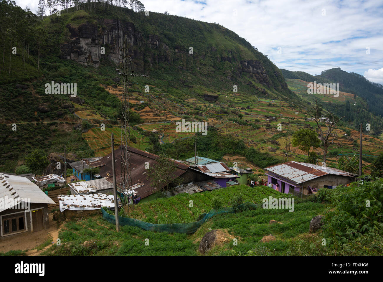 Caserma vive-in dell'operaio del tè conosciuto come linee nelle piantagioni del tè nel distretto di Nuwara Eliya della provincia centrale, Sri Lanka Foto Stock