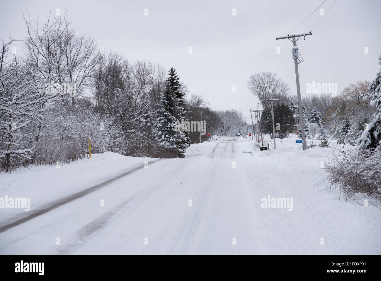 Un recente paese arato strada dopo una tempesta di neve. Bastoncini di neve ai rami di alberi in questa scena d'inverno. Foto Stock