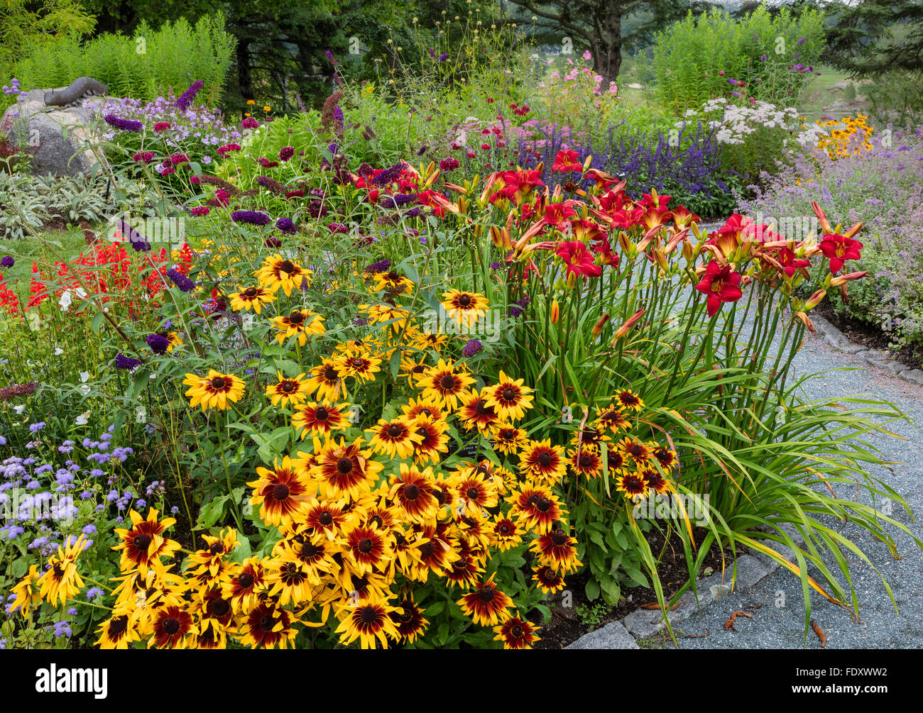 Southwest Harbor, Maine: giardini fioriti e percorsi in Charlotte Rhoades  Parco e Giardino delle Farfalle. Con Rudbeckia Foto stock - Alamy