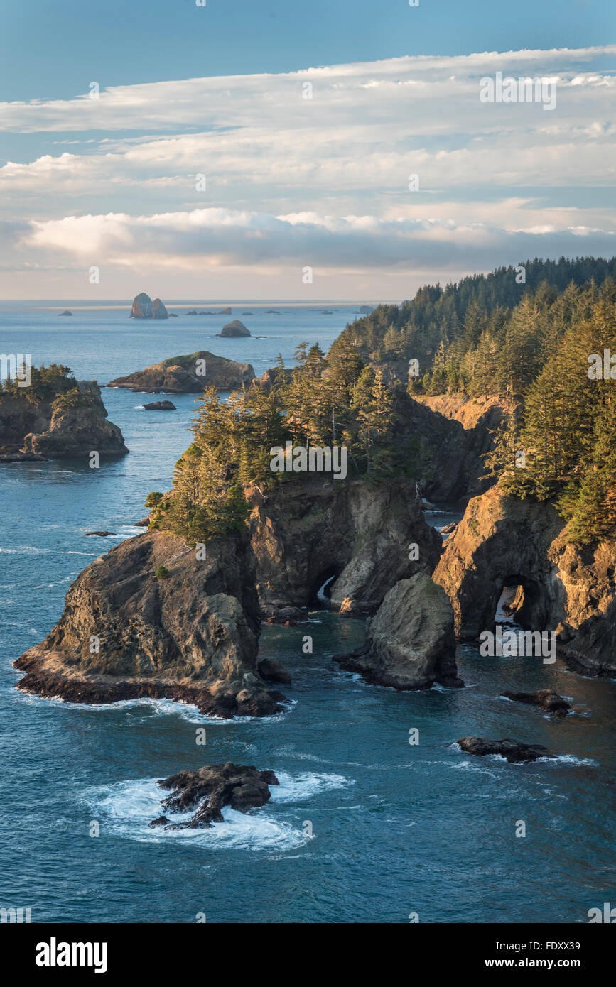 Ponti naturali area di Samuel H. Boardman membro Scenic corridoio, Oregon Coast. Foto Stock