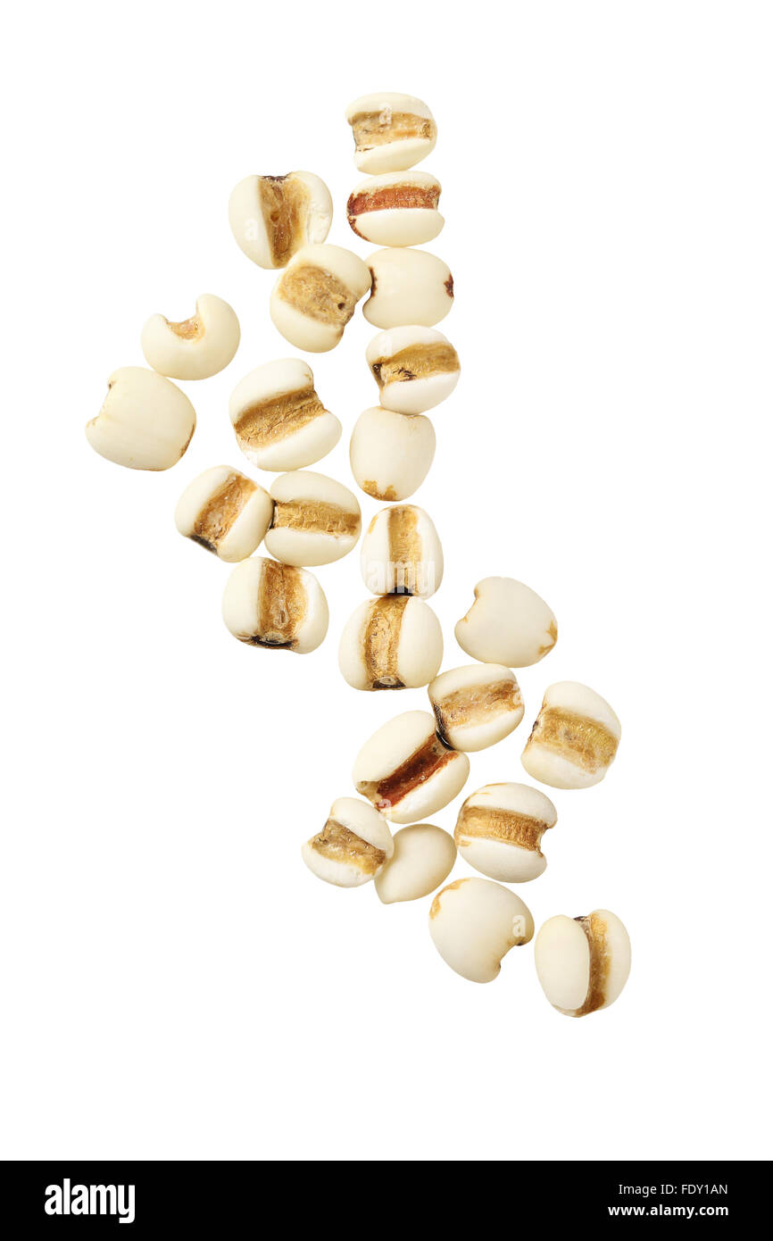 Orzo perlato grani su sfondo bianco Foto Stock