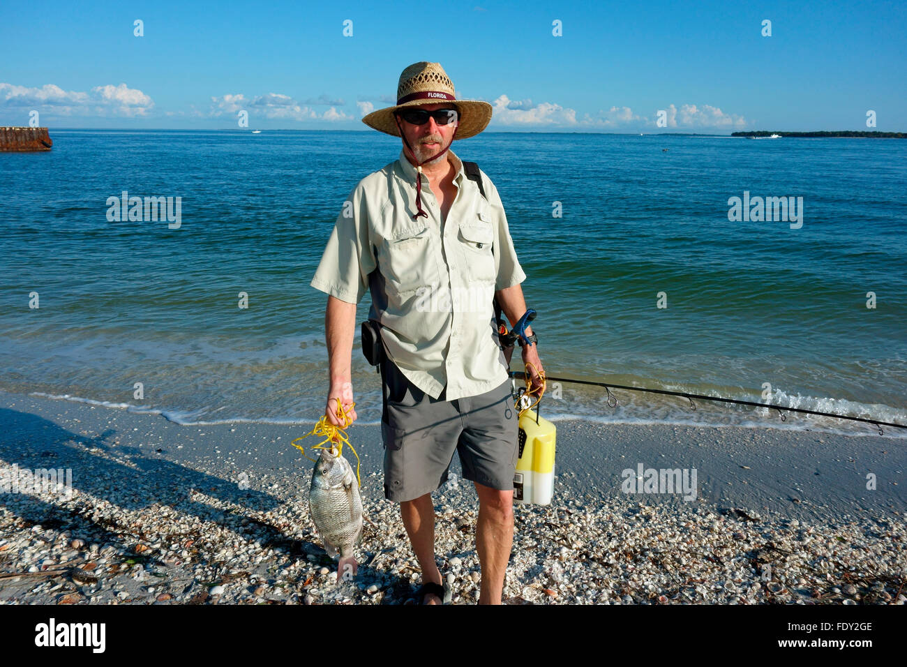 Un pescatore in Florida, Stati Uniti d'America a camminare su una spiaggia tenendo un sheepshead pesce Foto Stock