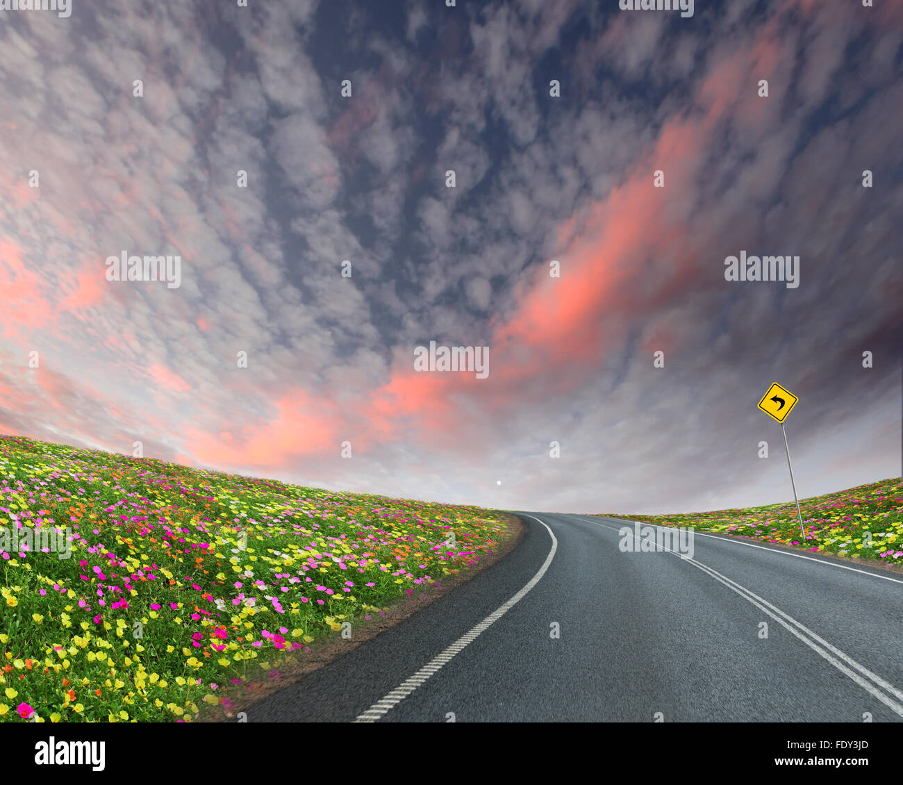Immagine vuota della strada che conduce verso l'orizzonte e cielo molto nuvoloso Foto Stock
