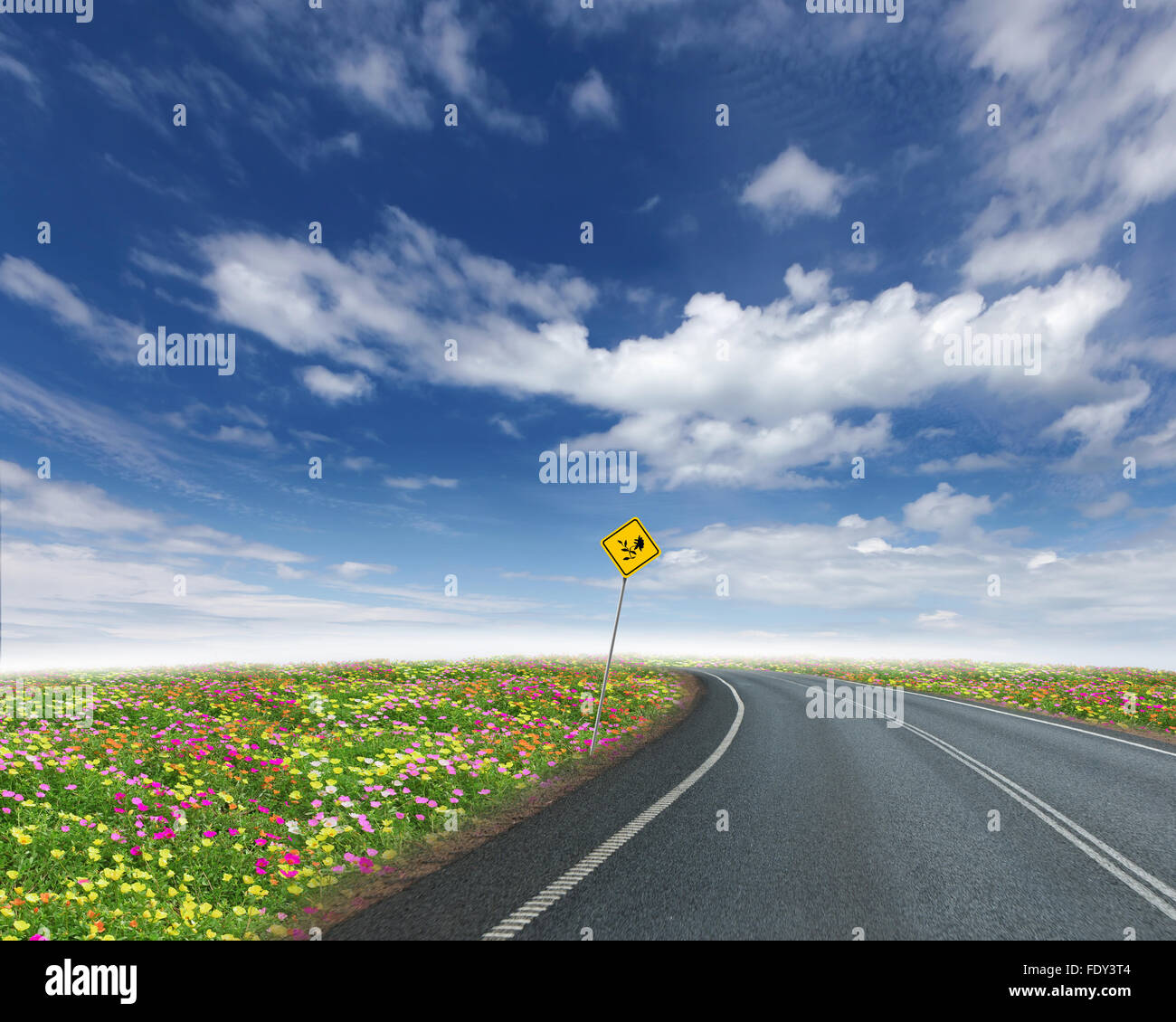 Immagine vuota della strada che conduce verso l'orizzonte e cielo molto nuvoloso Foto Stock