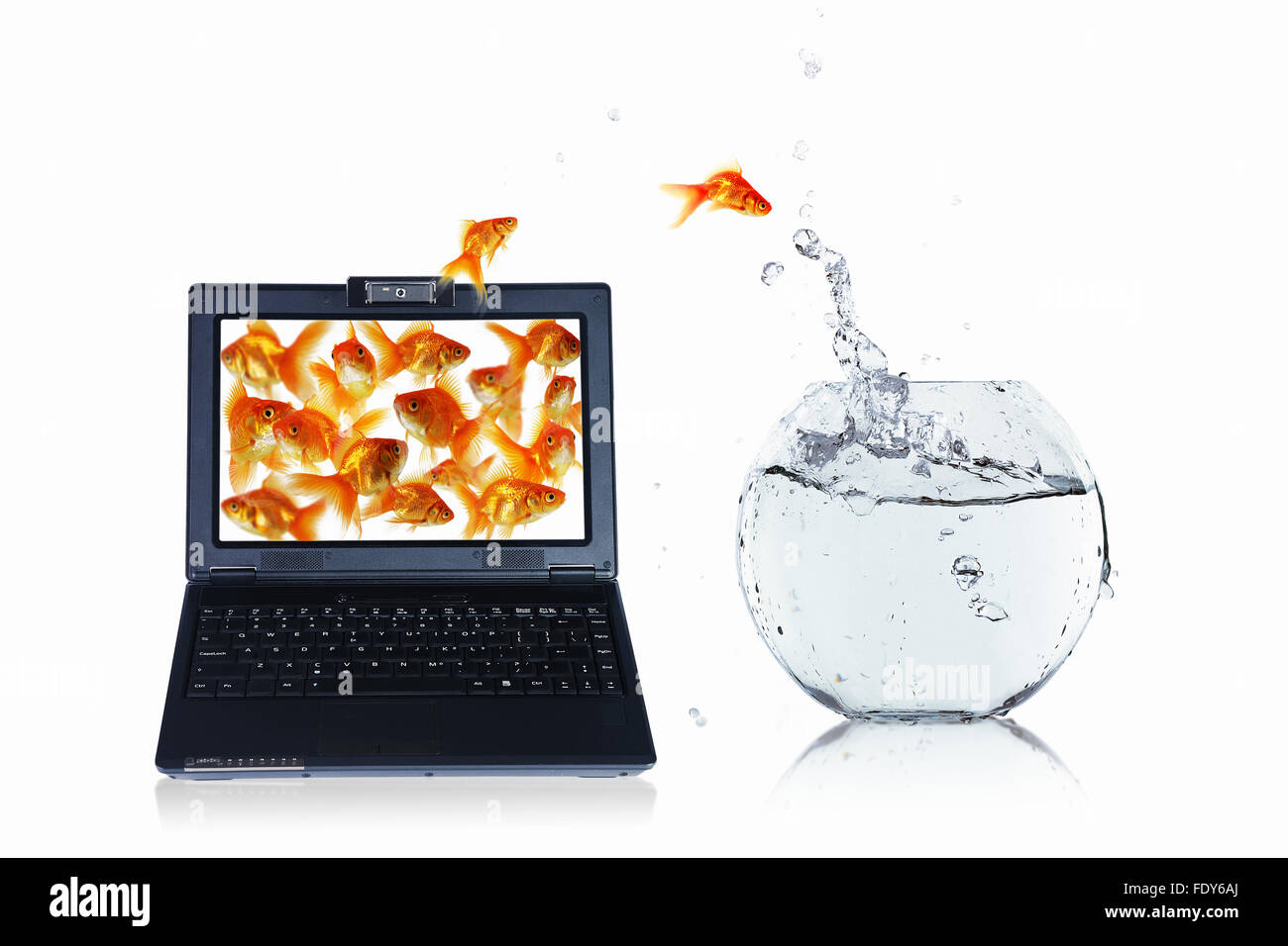 Goldfish e laptop. Collage. Foto Stock