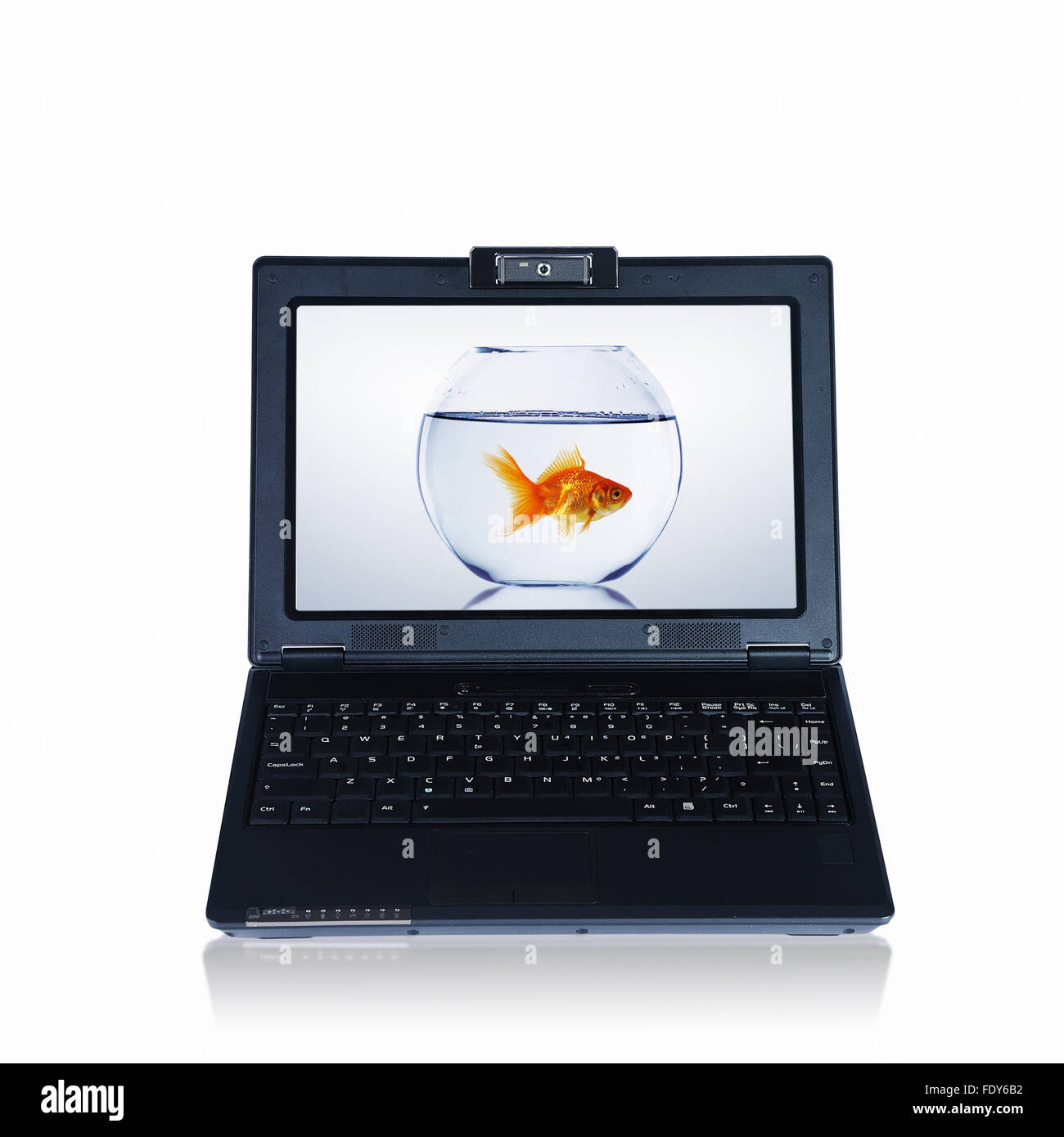 Goldfish e laptop. Collage. Foto Stock