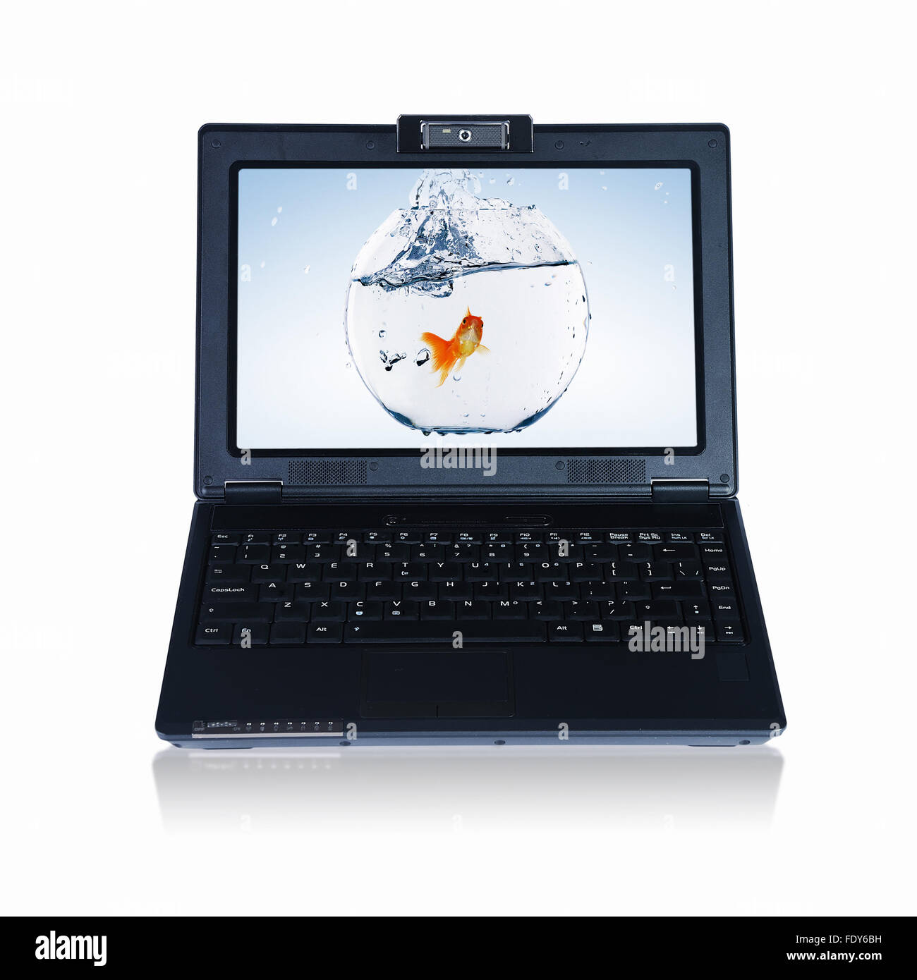 Goldfish e laptop. Collage. Foto Stock