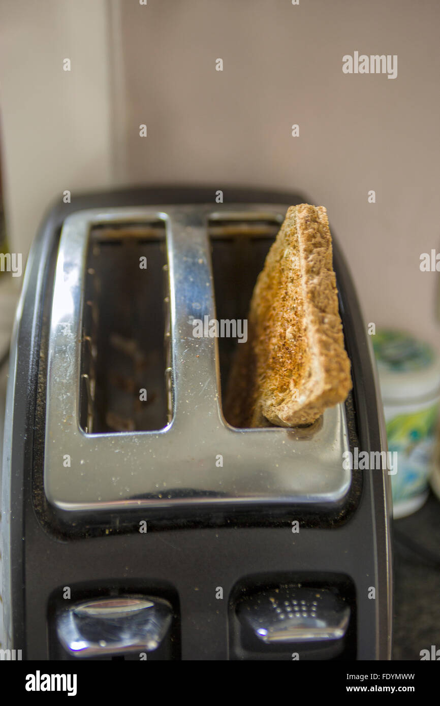Tostare il pane nel tostapane Foto Stock