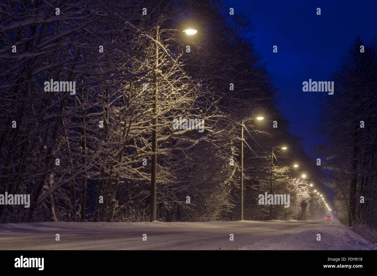 Strada di campagna ricoperta di neve di notte Foto Stock