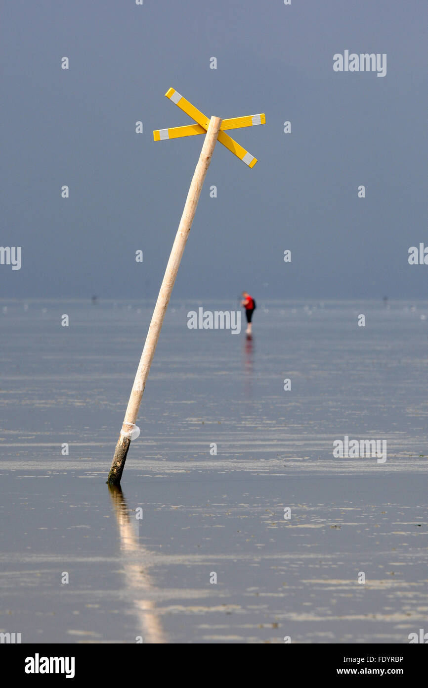 Cuxhaven, Germania, l'uomo corre da solo attraverso il mare di Wadden Foto Stock