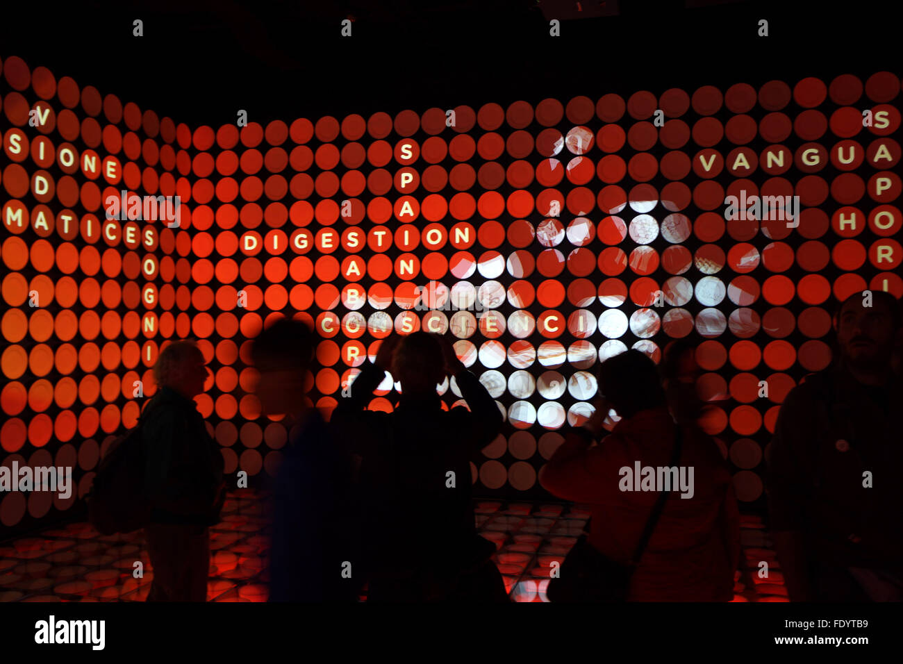 La gente guarda la presentazione digitale nel Padiglione della Spagna, esposizione mondiale 2015, Milano, Italia Foto Stock