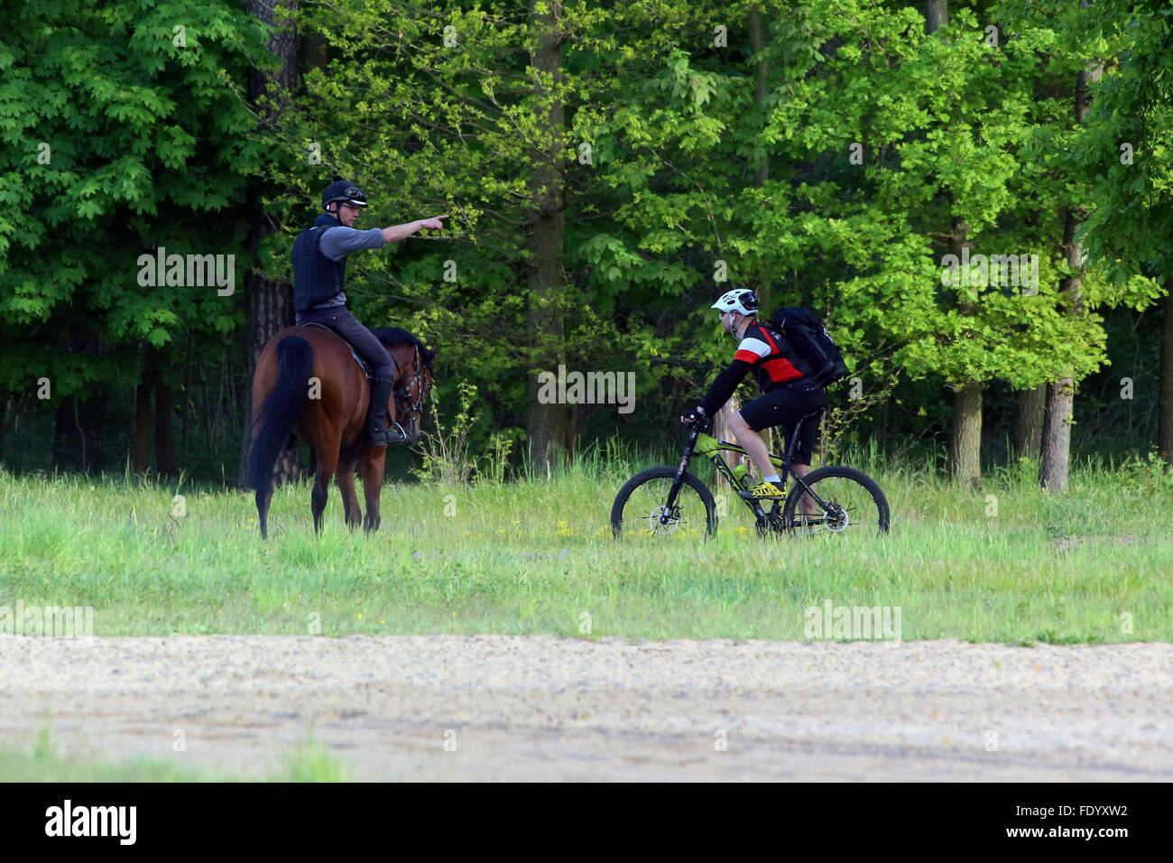 Neuenhagen, Germania, pilota dirige un ciclista percorso di equitazione Foto Stock