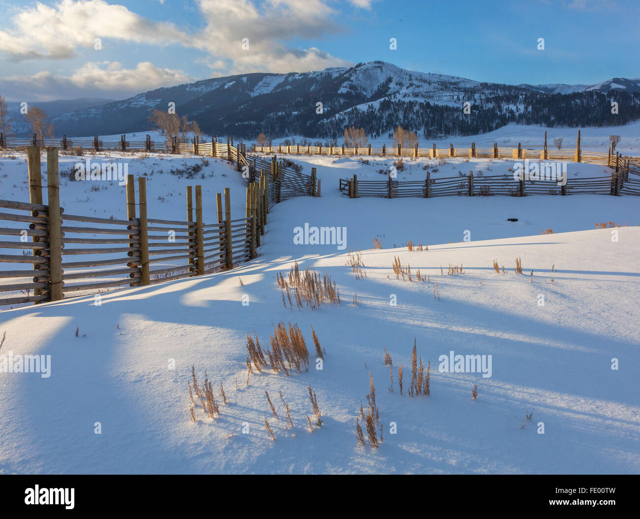 Parco Nazionale di Yellowstone, WY: Sunrise luce sulla neve e fenceline in un recinto presso il centro storico di Lamar Buffalo Ranch nel Lamar Foto Stock
