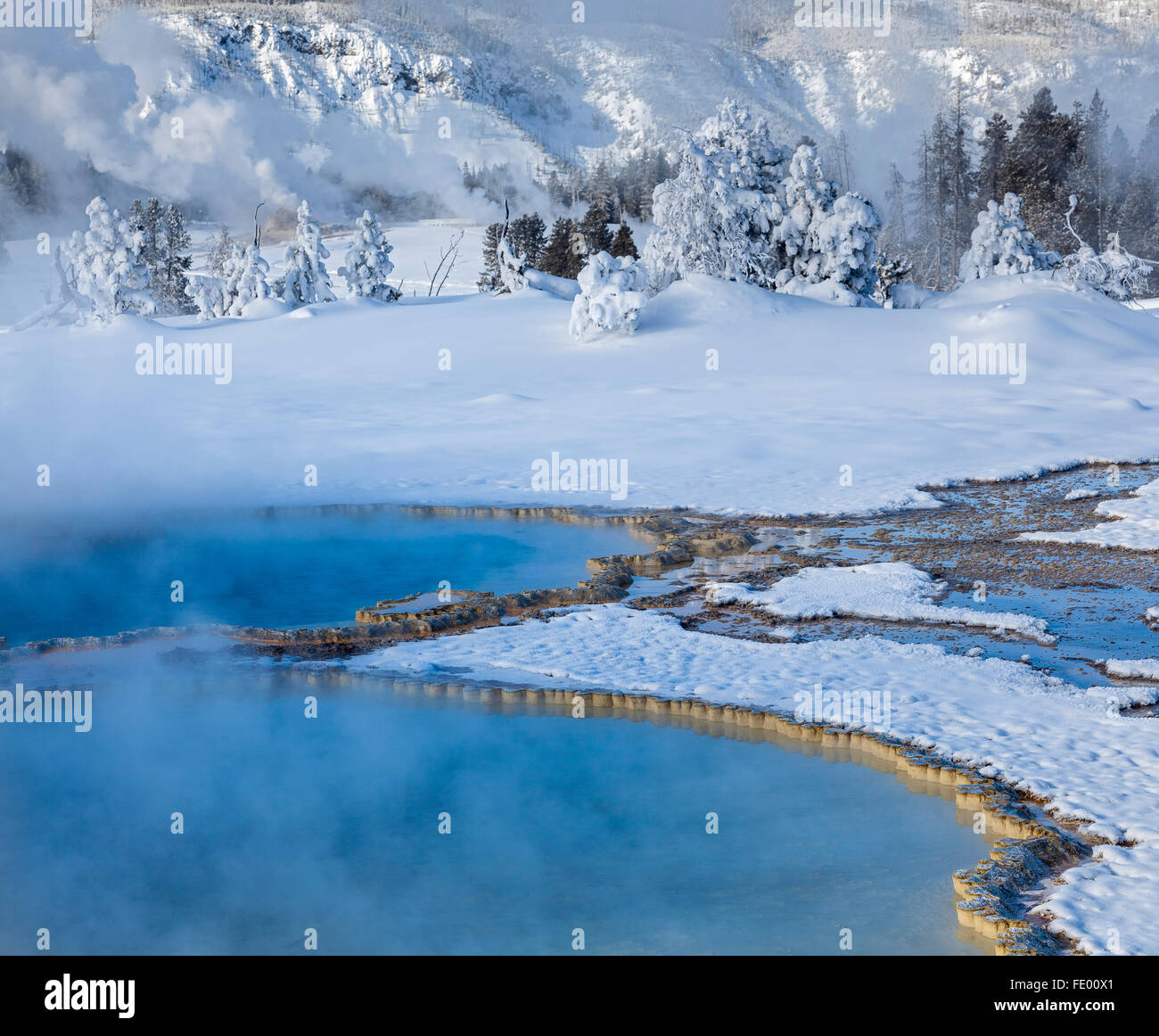 Parco Nazionale di Yellowstone, WY: doppietto piscina in inverno dalla Upper Geyser Basin Foto Stock