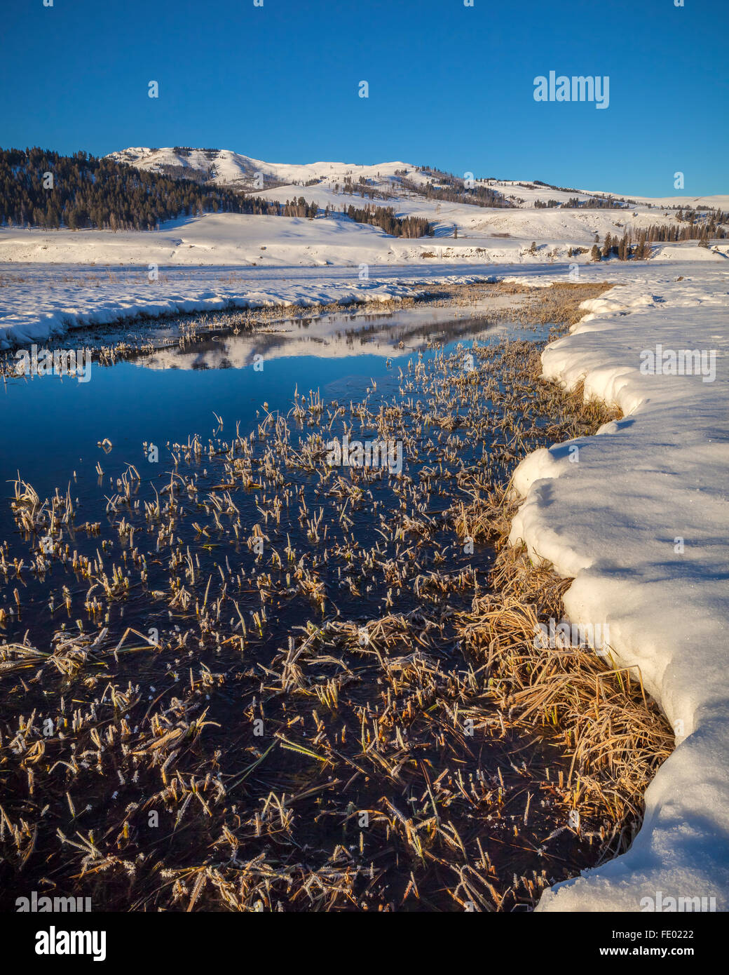 Parco Nazionale di Yellowstone, WY: un gelido Lamar fiume riflettendo campioni cresta su una mattina di inverno Foto Stock