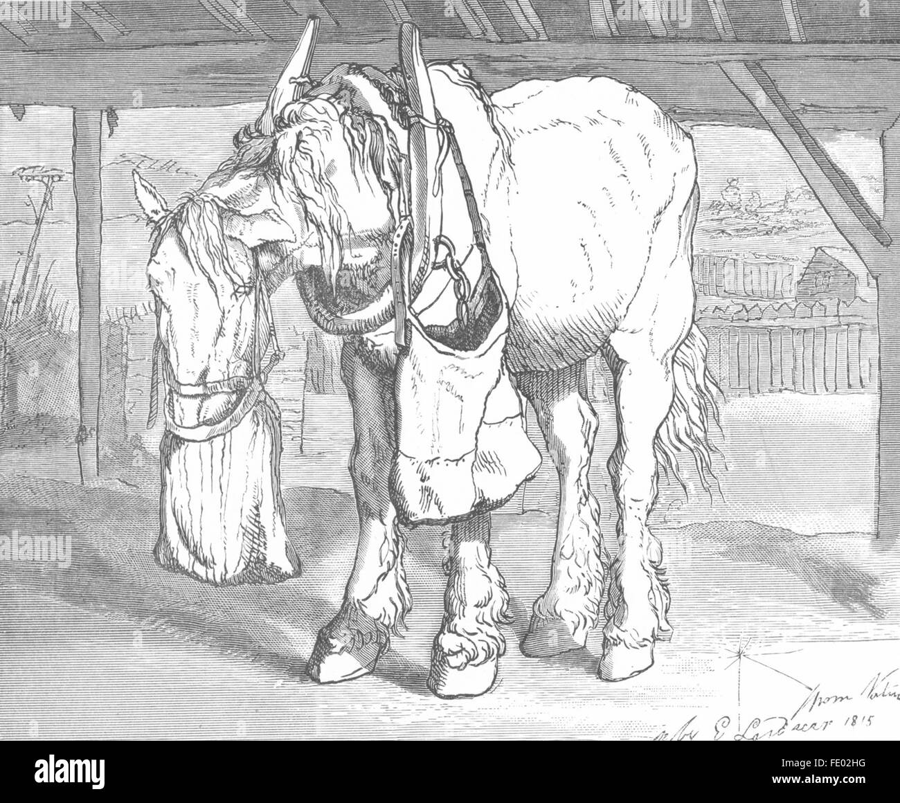 Trasporto: un carrello cavallo-Landseer, antica stampa c1880 Foto Stock