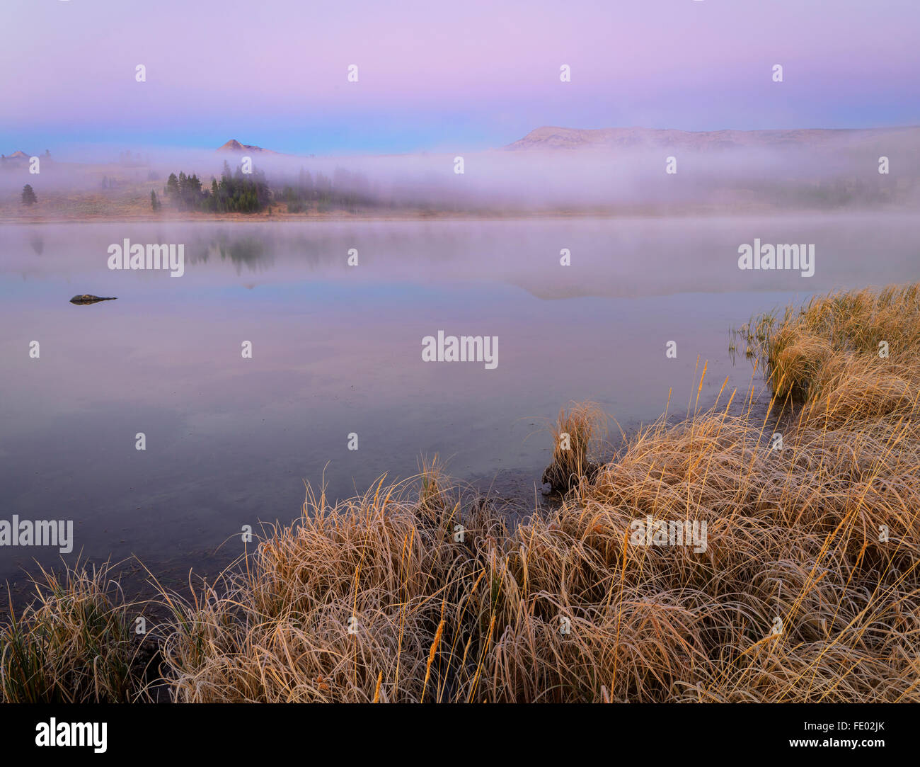 Parco Nazionale di Yellowstone, WY: nebbia mattutina all'alba sul Lago Swan Foto Stock