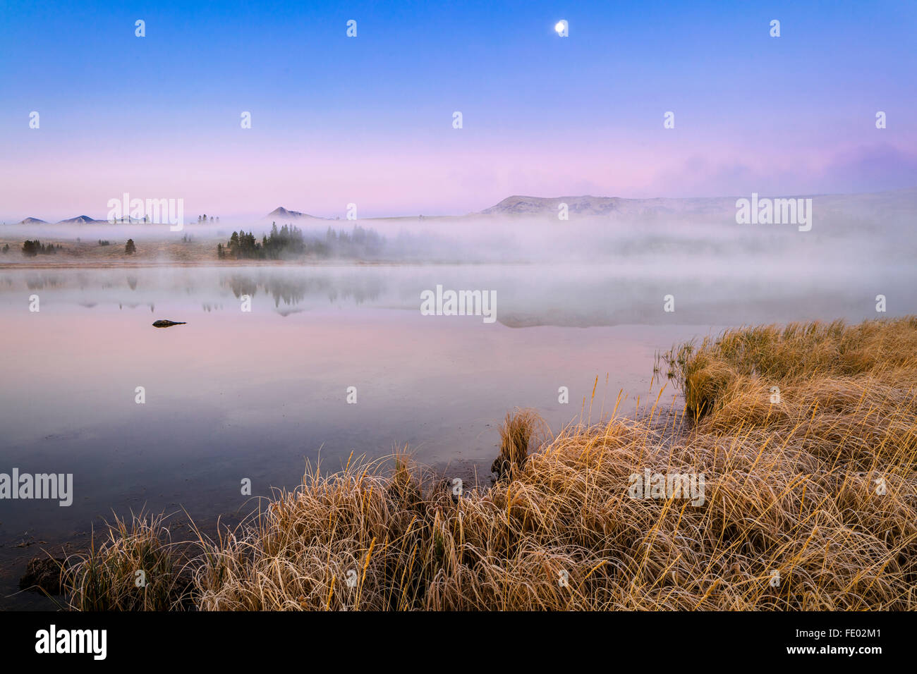 Parco Nazionale di Yellowstone, WY: nebbia mattutina all'alba sul Lago Swan con set di luna Foto Stock