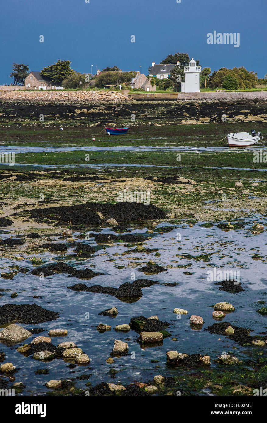 Francia, Normandia, Barfleur, vista del porto con la bassa marea Foto Stock
