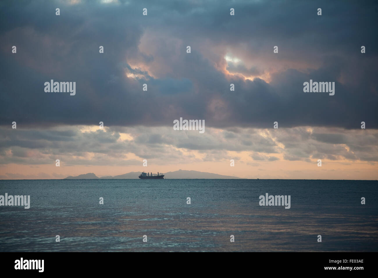 Nave Container off Suva, Isole Figi Foto Stock