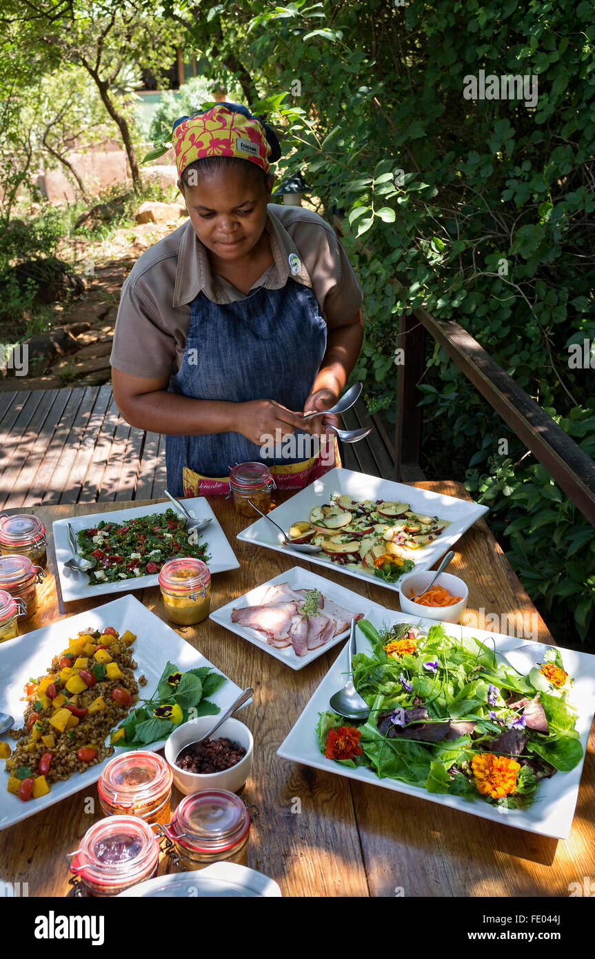 Selezione a buffet nel Kwa-Zulu Natal lodge, Sud Africa Foto Stock