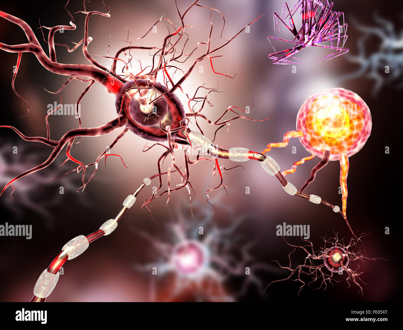 Le cellule nervose, concetto per malattie neurologiche, tumori e chirurgia cerebrale. Foto Stock