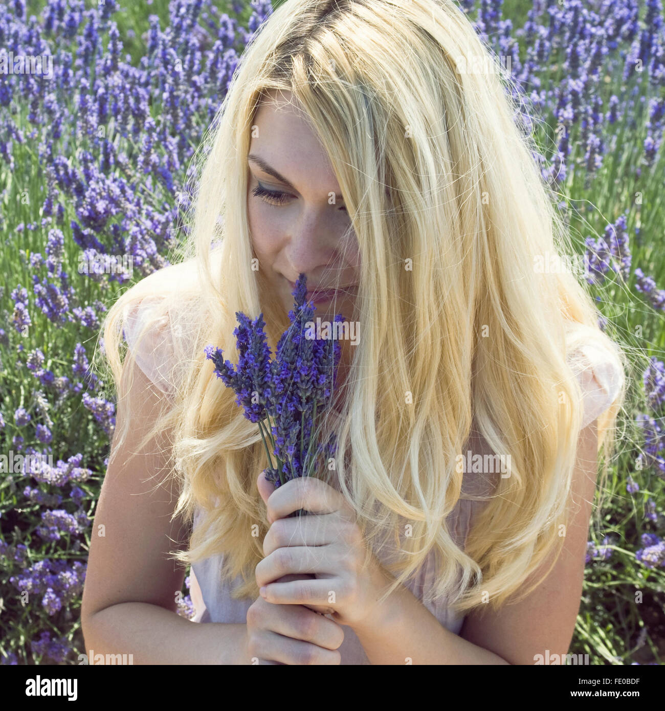 Donna su un prato con dei fiori di lavanda Foto Stock