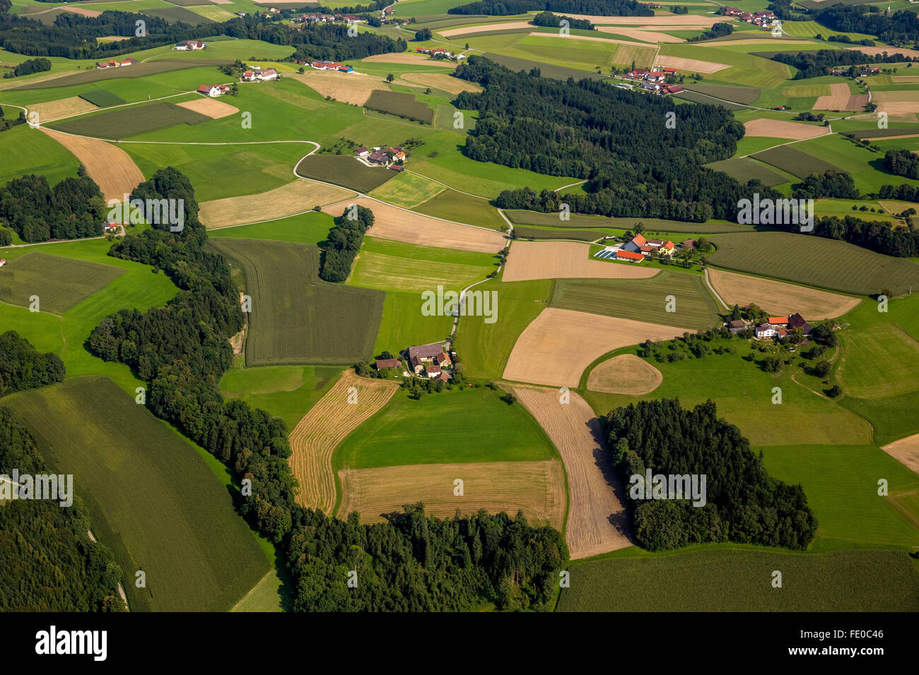 Antenna, agricoltura, allevamento, i campi e i prati e i boschi delle colline ai piedi delle Alpi in Linz, Brauchsdorf, Austria superiore, Foto Stock