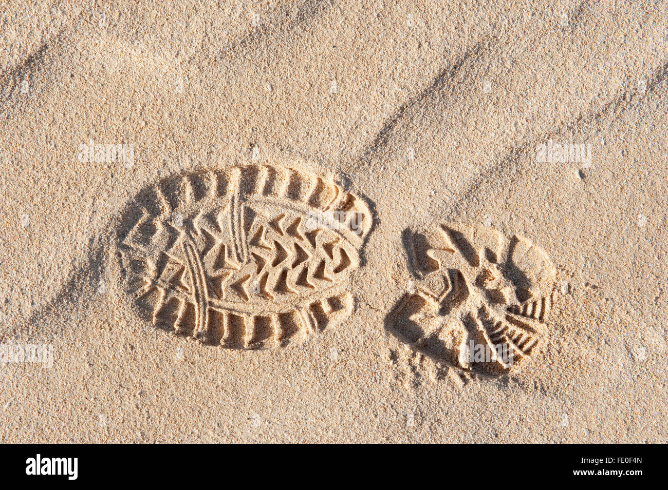 Corralejo Dunes National Park, Fuerteventura, Spagna Foto Stock