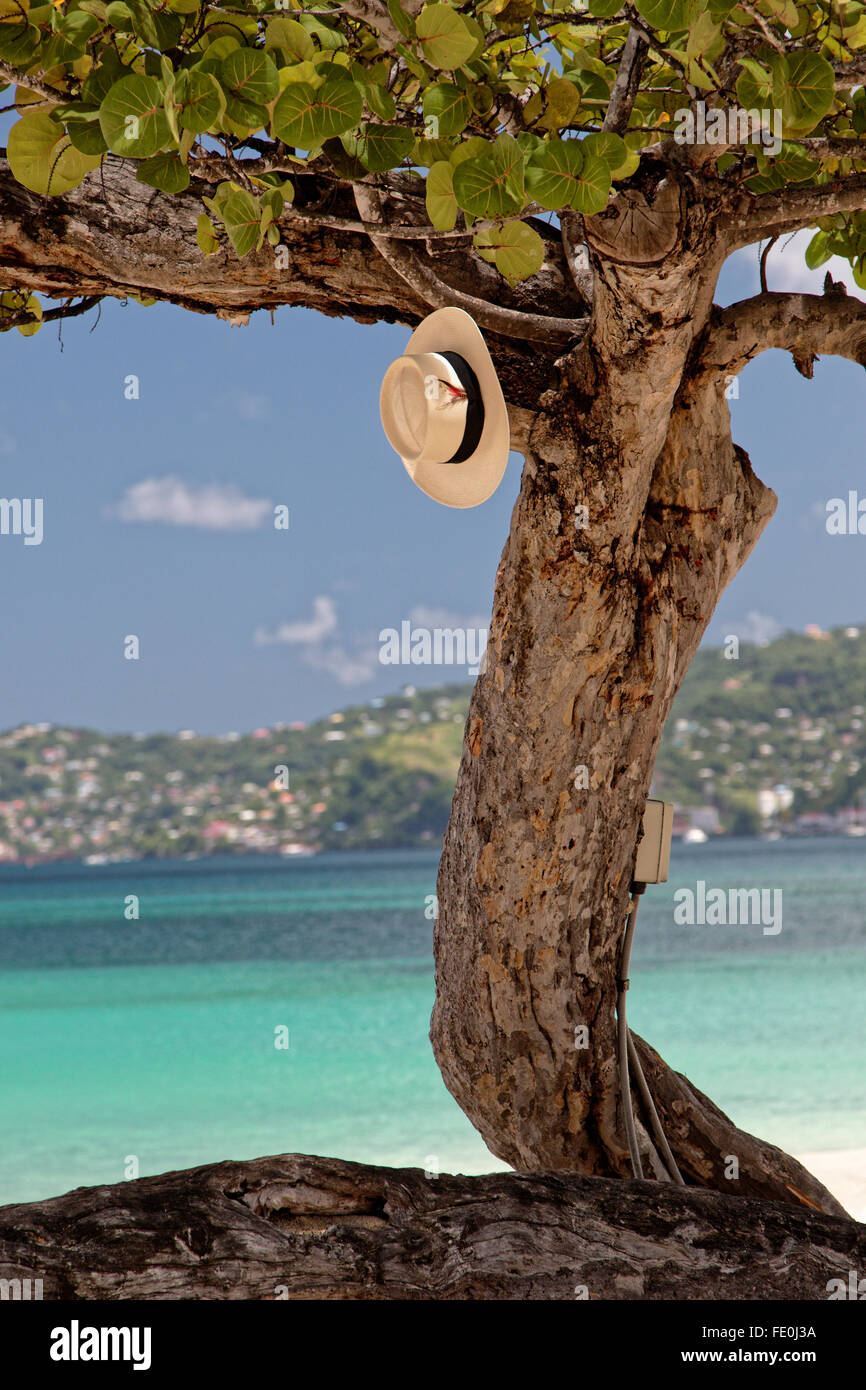 Grand Anse Beach Grenada, Caraibi Foto Stock