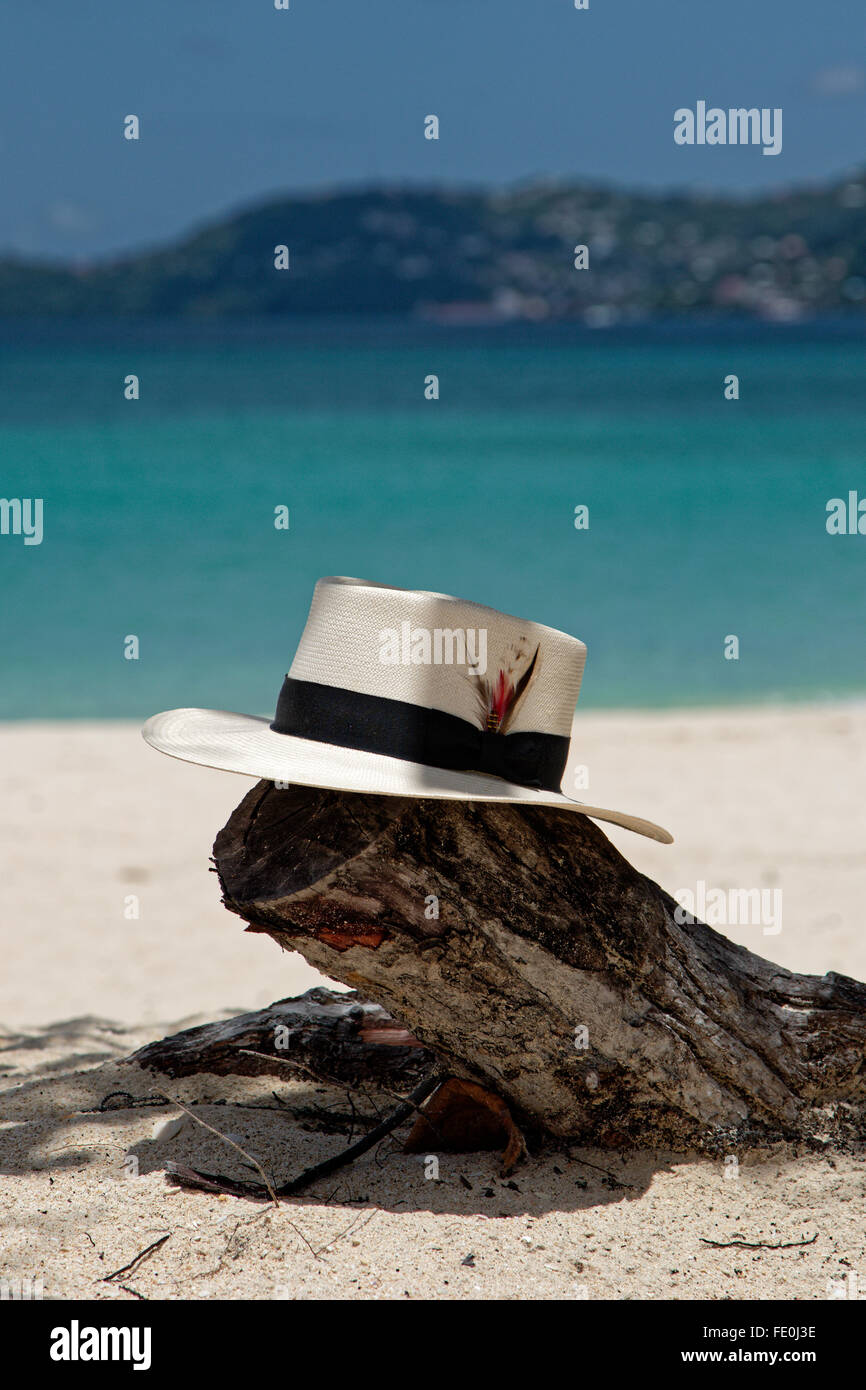 Grand Anse Beach Grenada, Caraibi Foto Stock