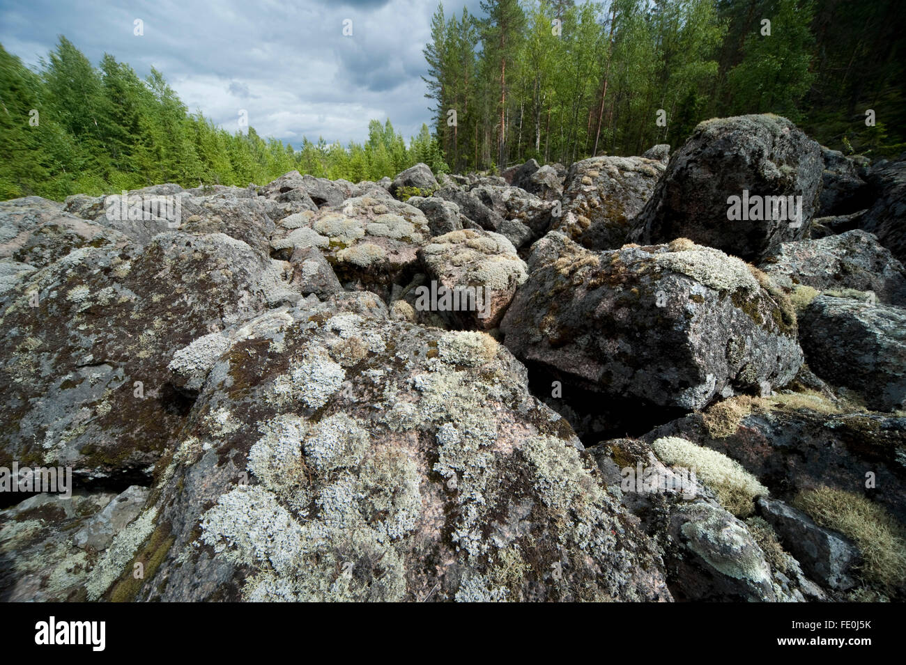 Antica glaciale frana geologica, Finlandia Foto Stock