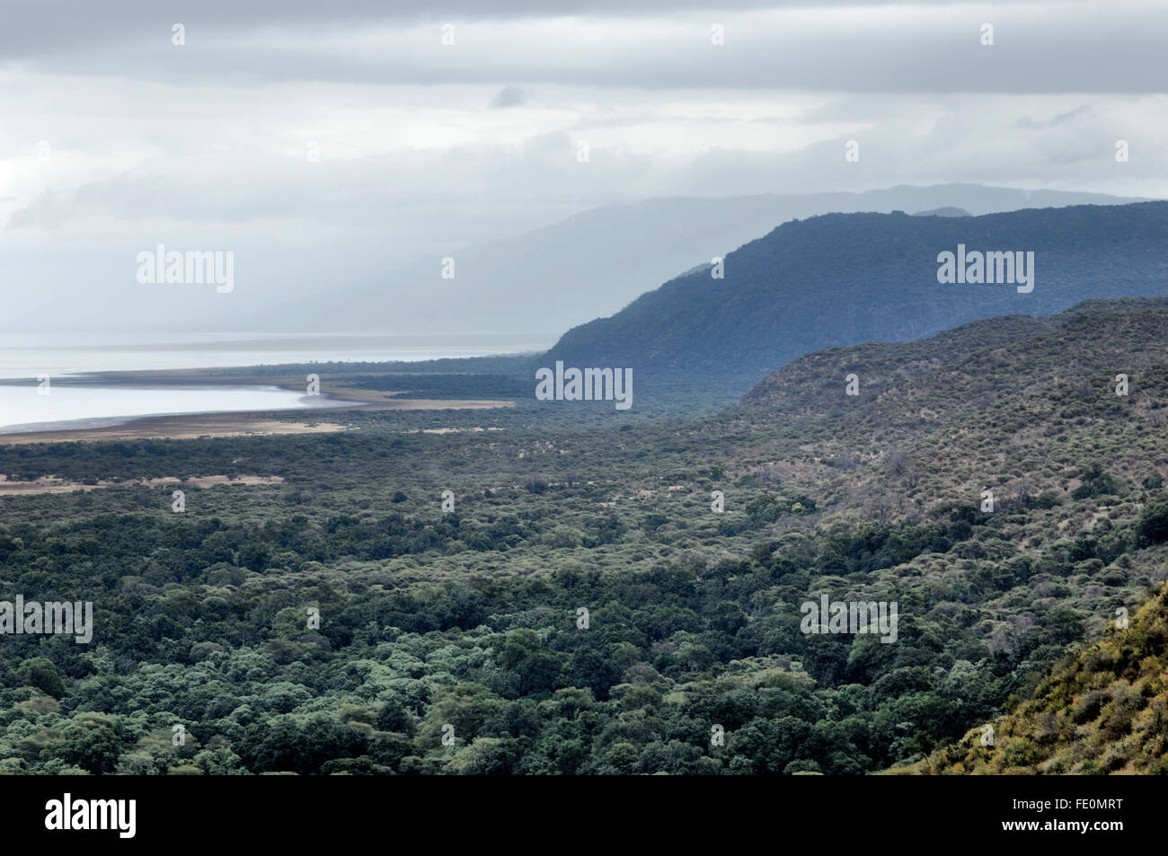Great Rift Valley parete, Lake Manyara Foto Stock