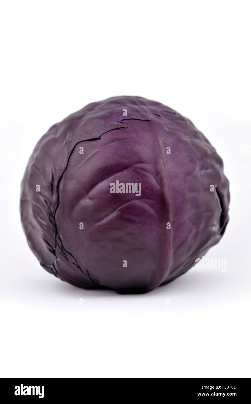 Tutto il rosso porpora o cavolo noto anche come kraut rosso o blu kraut. Foto Stock