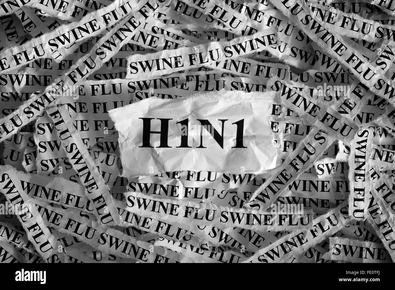 H1N1- Influenza suina. Pezzi di carta strappati con le parole di H1N1- Influenza suina. Concetto di immagine. In bianco e nero. Primo piano. Foto Stock