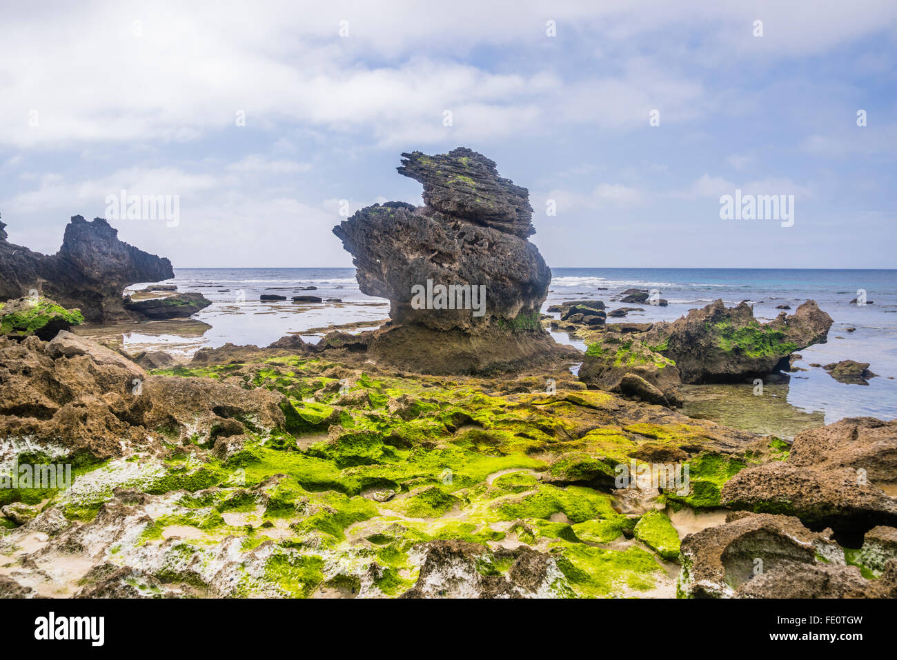 Isola di Lord Howe nel Mare di Tasman, area non costituite in società del Nuovo Galles del Sud, Australia. Le rocce vulcaniche a Middle Beach Foto Stock