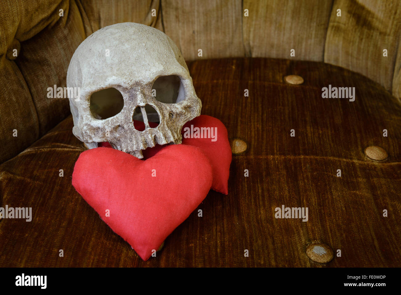 Cranio umano sul cuore rosso, tema di san valentino Foto Stock